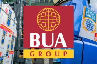 BUA Foods, BUA Cement H1 2026