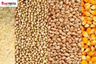 Grain