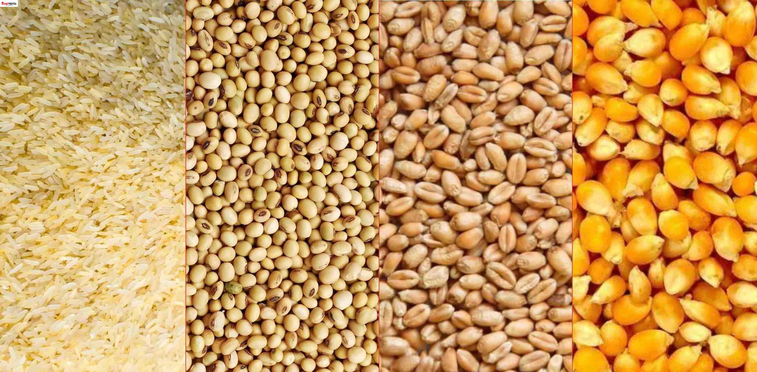 Grain
