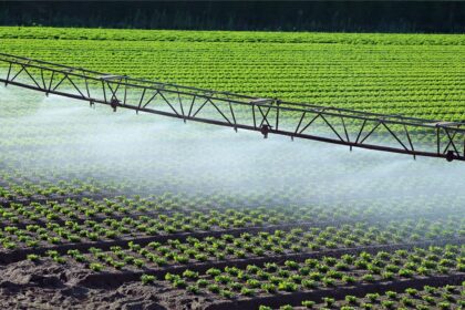 Irrigation