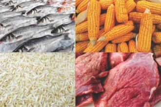 Food Prices