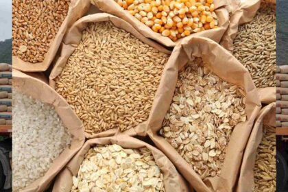 Global Food Prices, global grain prices