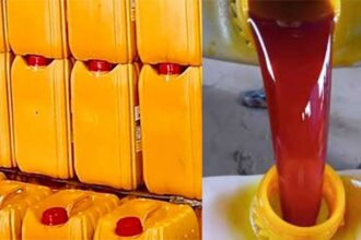 Global Palm Oil prices litres