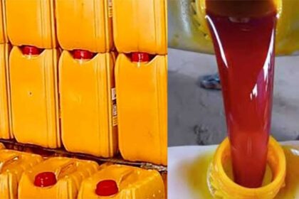 Global Palm Oil prices litres