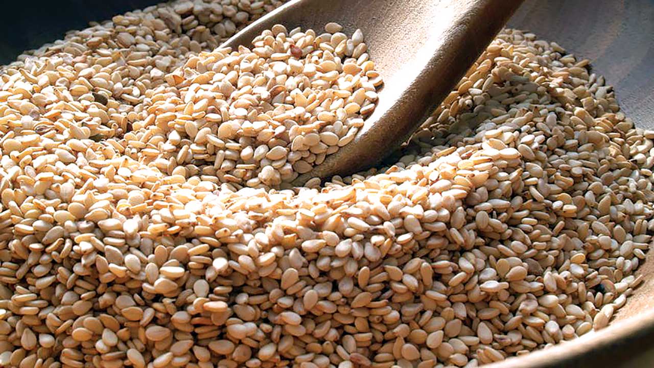 Sesame Seed, Nigerian sesame EU border rejections