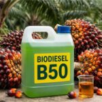 biofuel demand and palm oil market