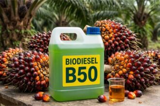 biofuel demand and palm oil market
