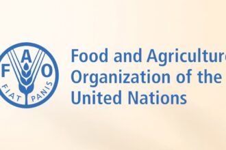 FAO Food Price Index September 2026